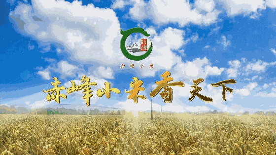 5fa1195688853.gif