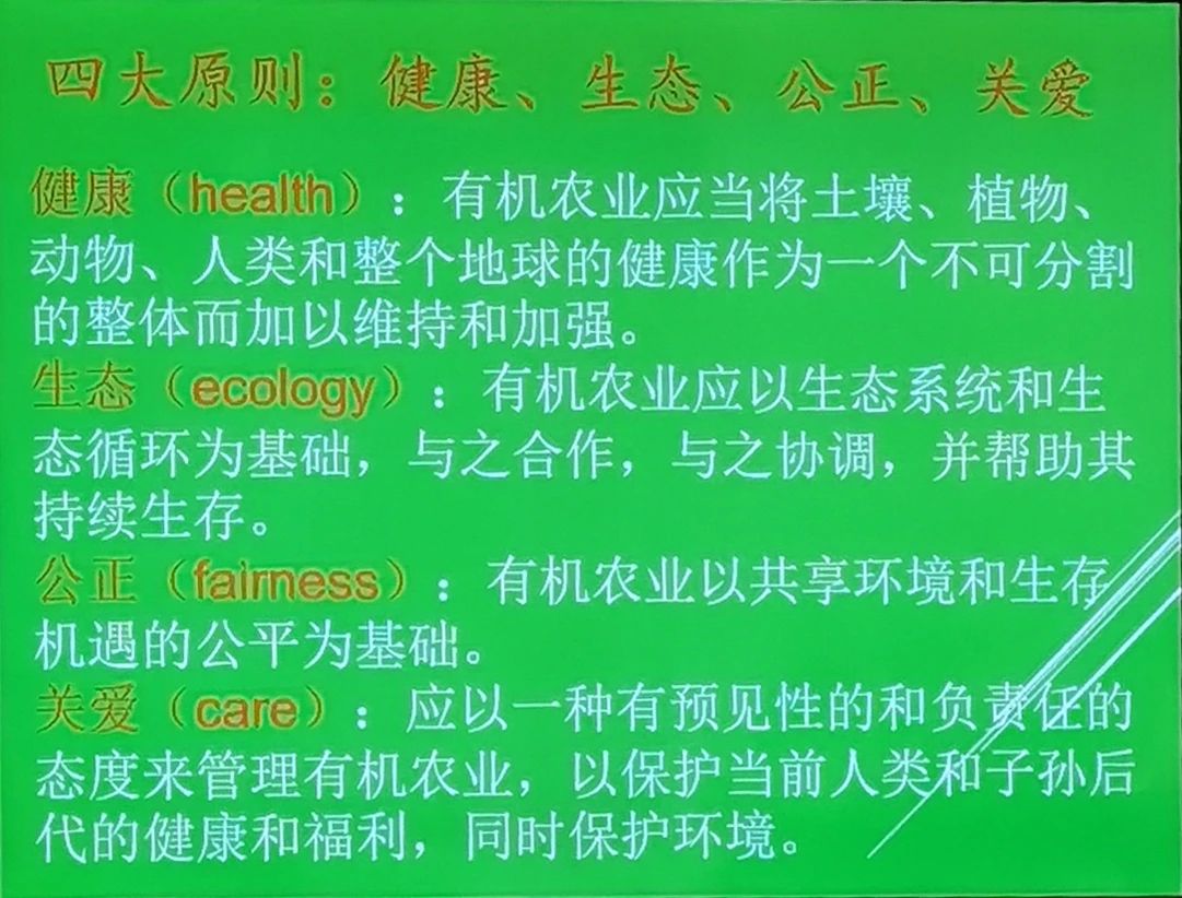5fa20ea62d707.jpg